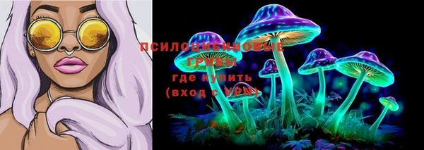 бошки Алексин