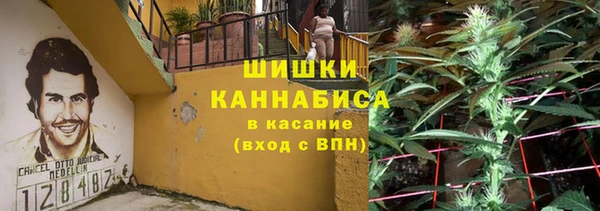 бошки Алексин