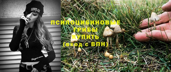 бошки Алексин
